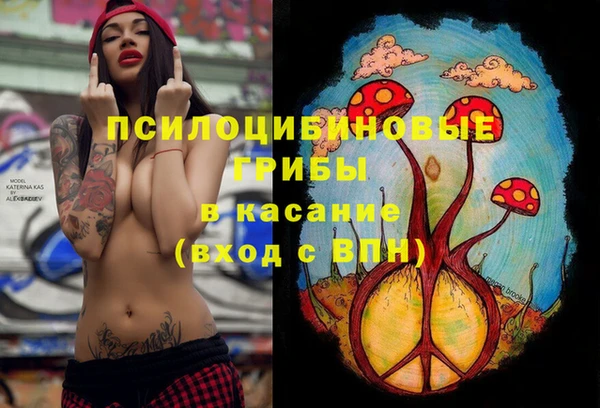 амф Абаза