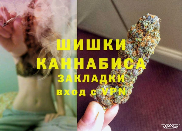 дживик Алзамай