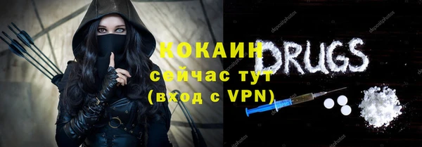 СК Алексин