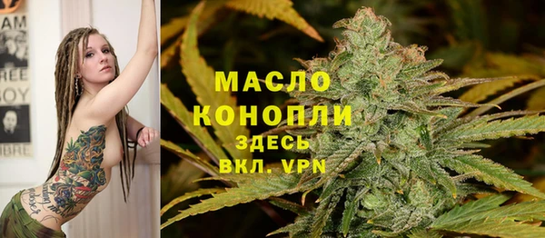 СК Алексин