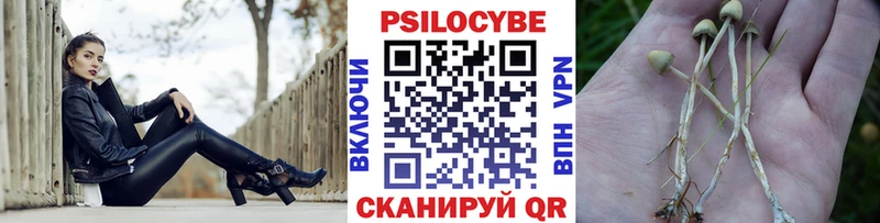 Псилоцибиновые грибы MAGIC MUSHROOMS как найти закладки Владимир