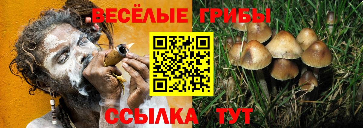 Псилоцибиновые грибы MAGIC MUSHROOMS Владимир